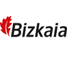 BFA DFB Diputación Foral de Bizkaia Foru aldundiala