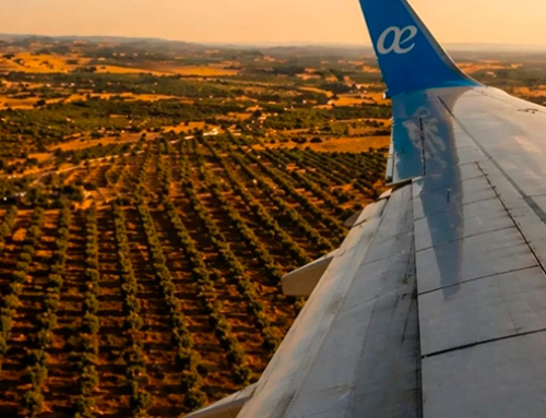 España ya produce combustibles sostenibles para aviones que no dependen del petróleo